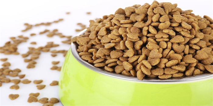 Introdução à linha de produção de alimentos para animais de estimação Introduction To Pet Food Production Line