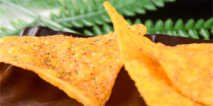 Línea de producción de Doritos vendida a India Doritos Production Line Sold To India