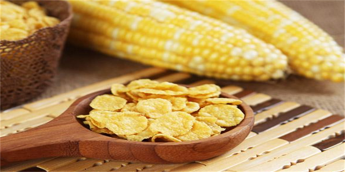 Breakfast Cereal Production Line Sold To India Breakfast Cereal Production Line Sold To India