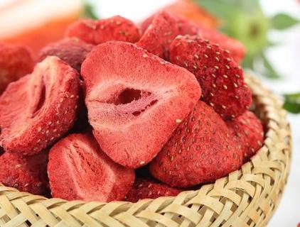 Equipamento de secagem de alimentos para máquina de liofilização de alimentos