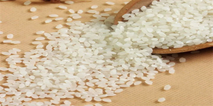 รู้เบื้องต้นเกี่ยวกับสายการผลิตข้าวโภชนาการ Introduction To Nutritional Rice Production Line