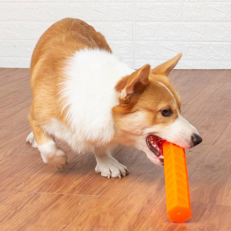 1663652108283751.jpeg dog and dog chews.jpeg